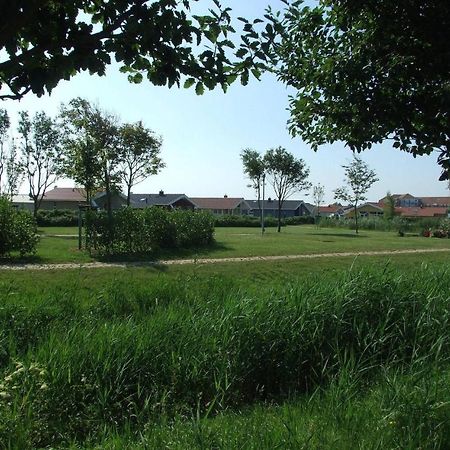 Friedrichskoog-Deichblick 1 Villa Exterior foto